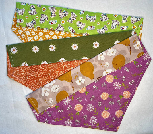 Doggie Bandana Spring fun set of 3