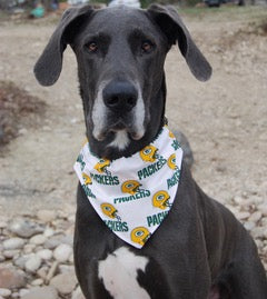 Doggie Bandana