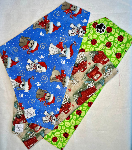 Doggie Bandana Set of 3 Winter, Spring, Summer